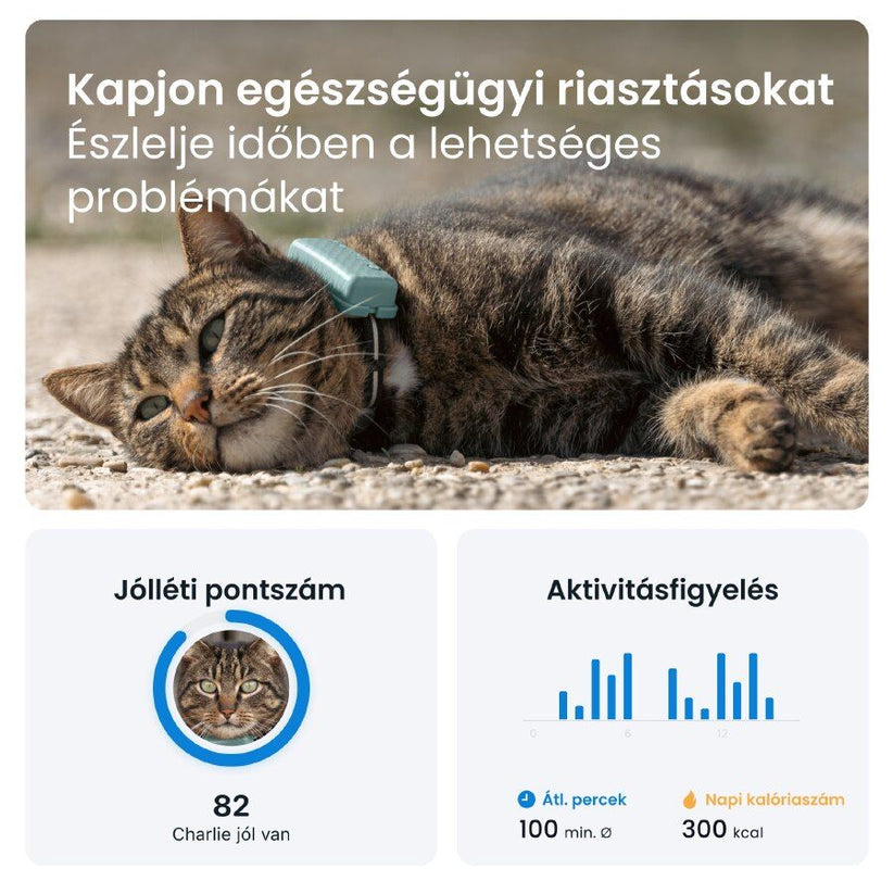 Tractive GPS CAT Mini - Mint - iSTYLE HU